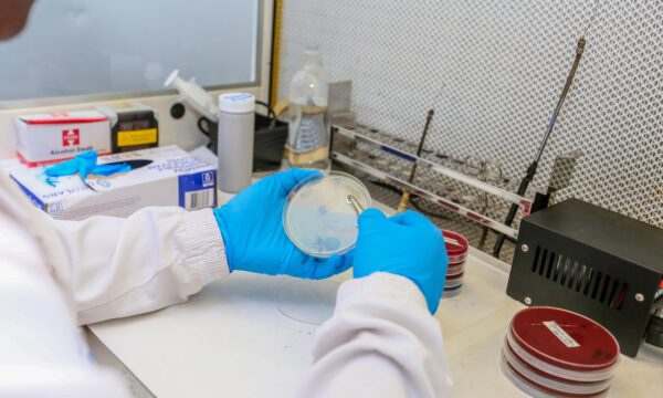 Microbiology research and microorganisms – SOMED Official Journal