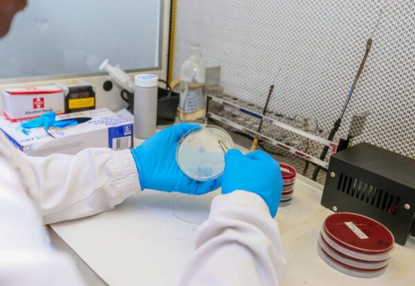 Microbiology research and microorganisms – SOMED Official Journal