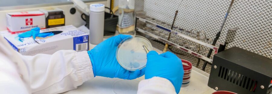 Microbiology research and microorganisms – SOMED Official Journal