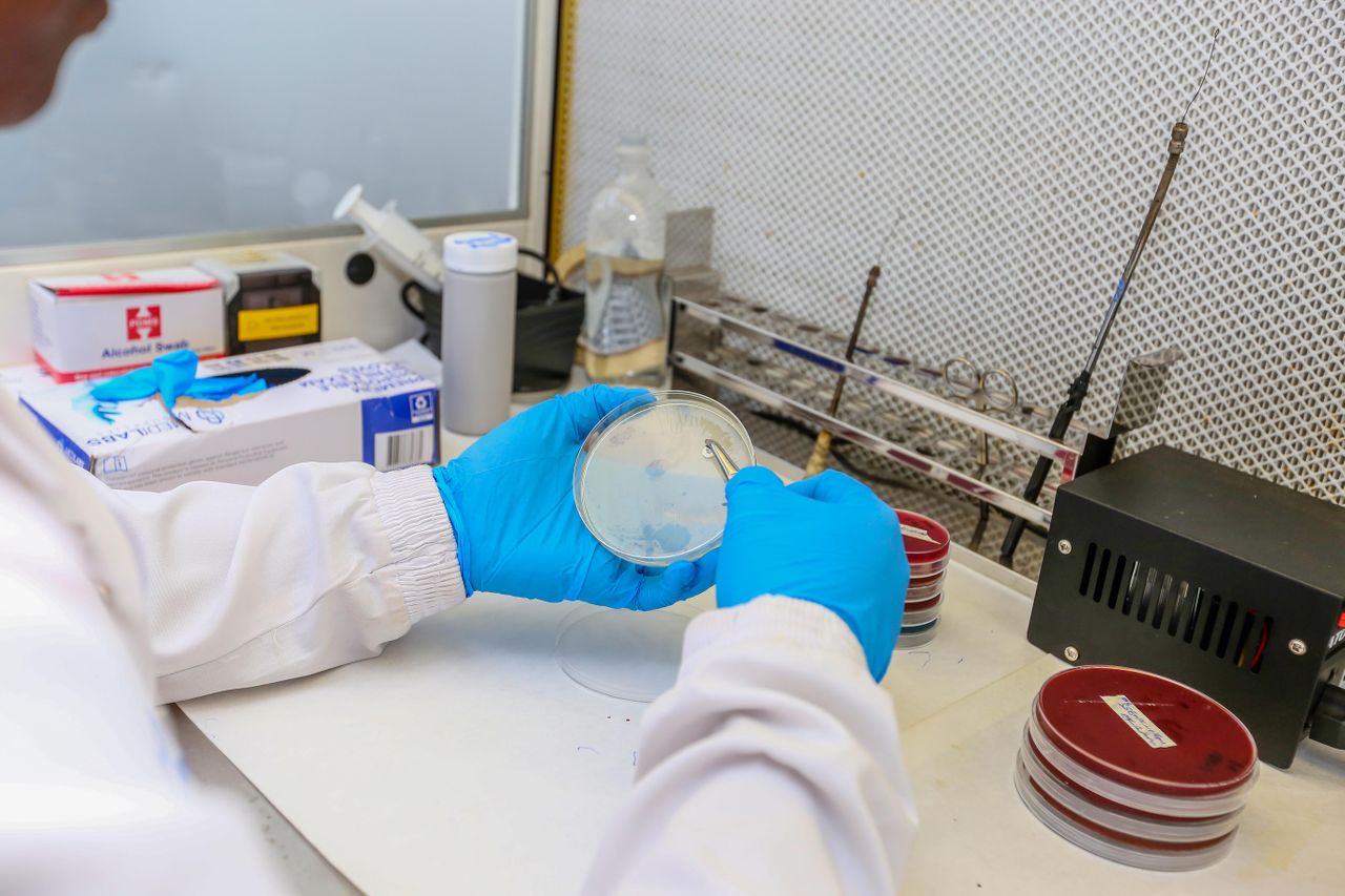 Microbiology research and microorganisms – SOMED Official Journal